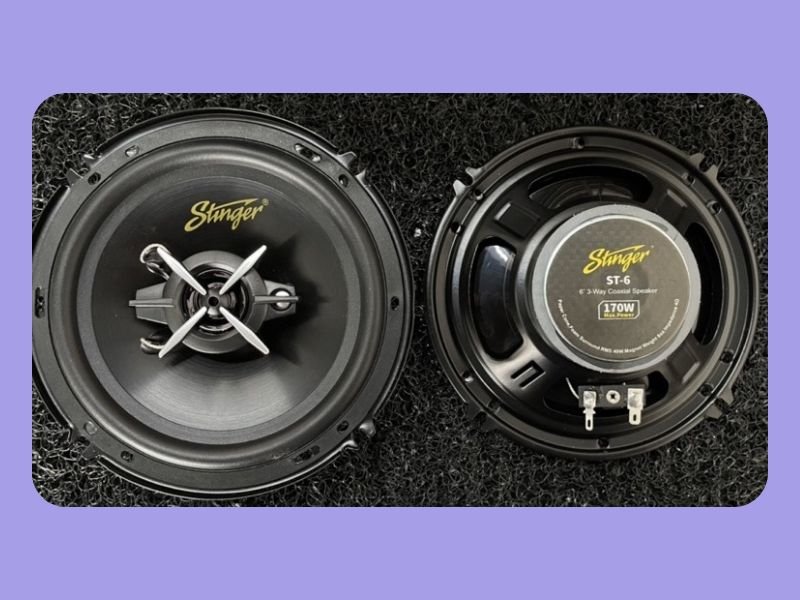 Stinger Speaker