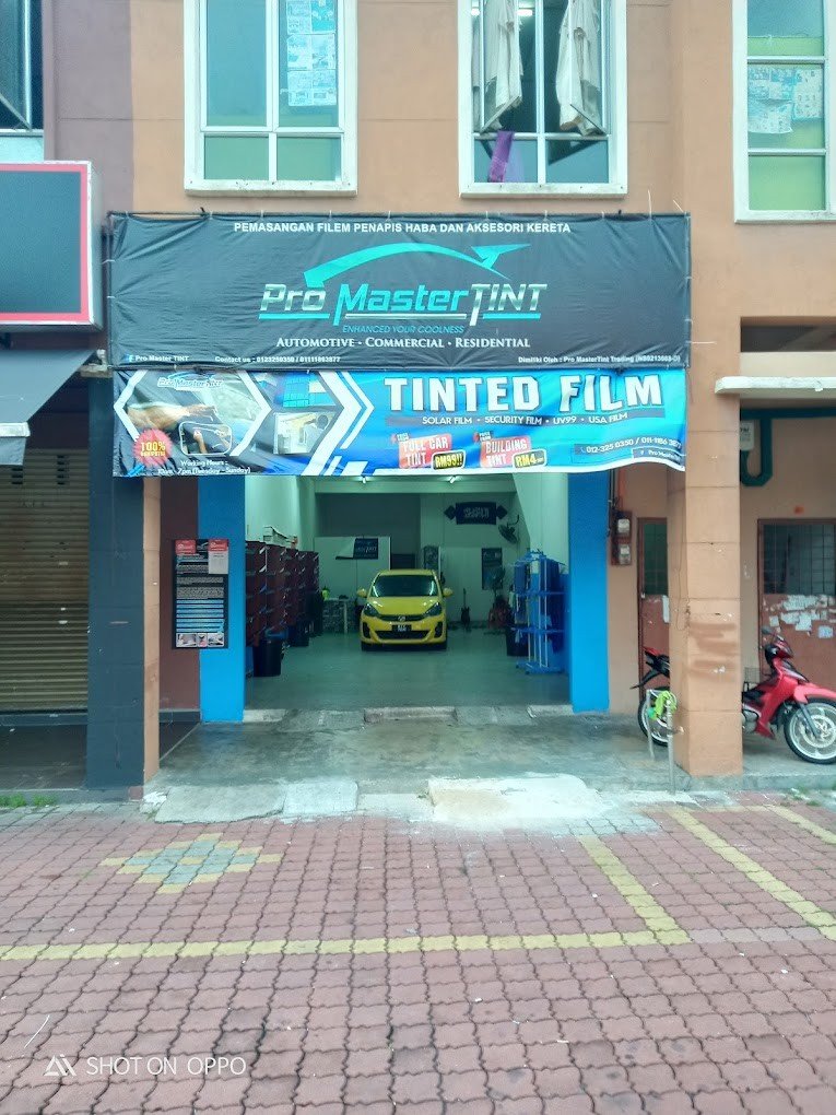 Pro MasterTINT