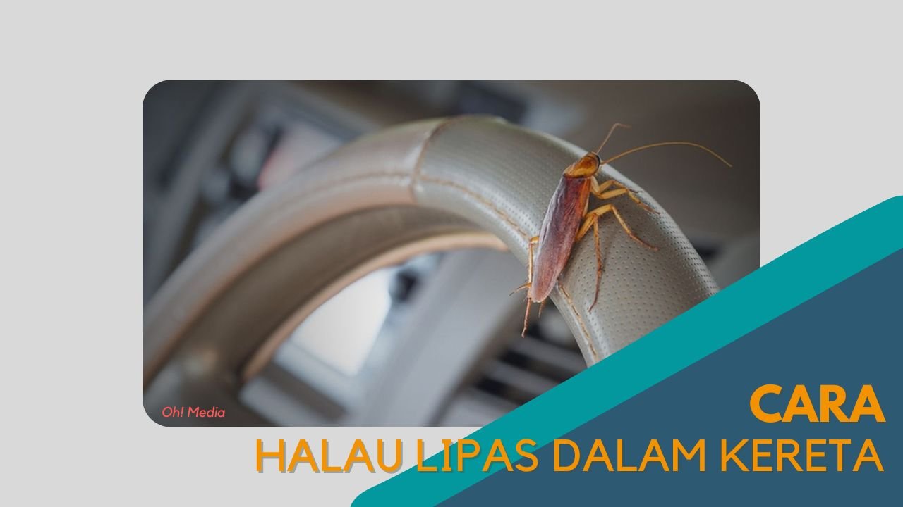 Cover Cara Halau Lipas Dalam Kereta