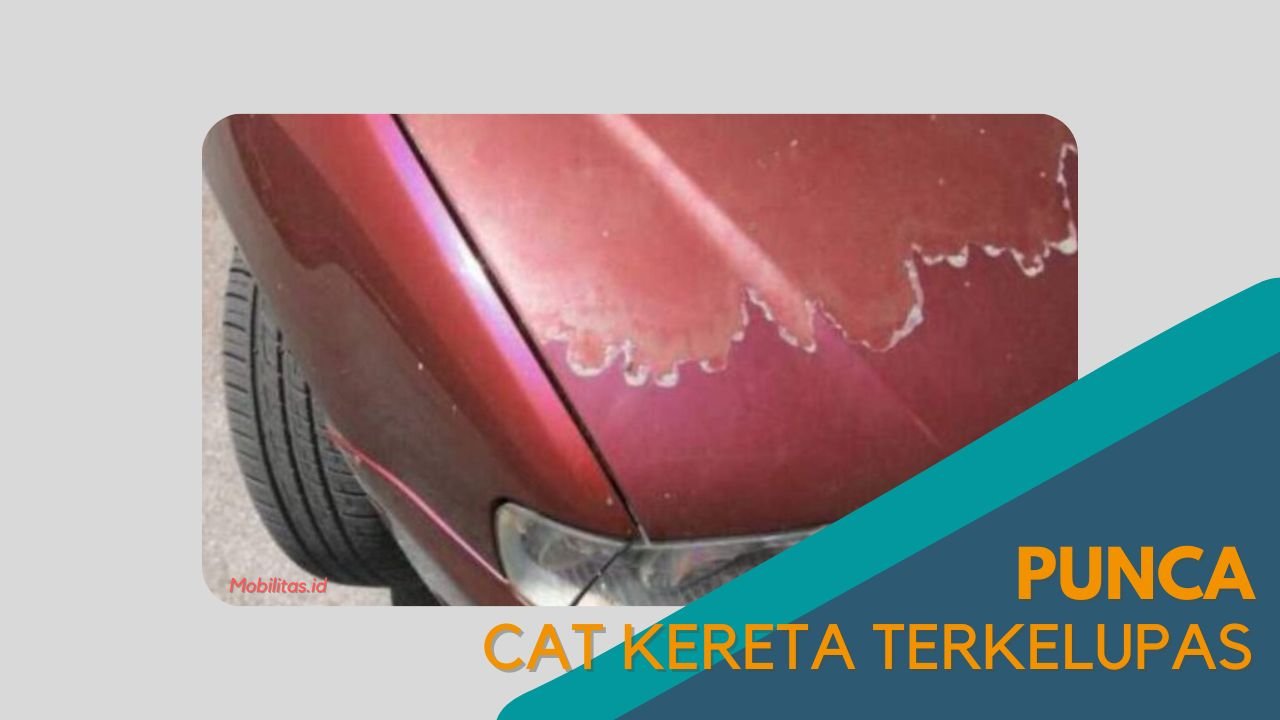 Cover Punca Cat Kereta Terkelupas